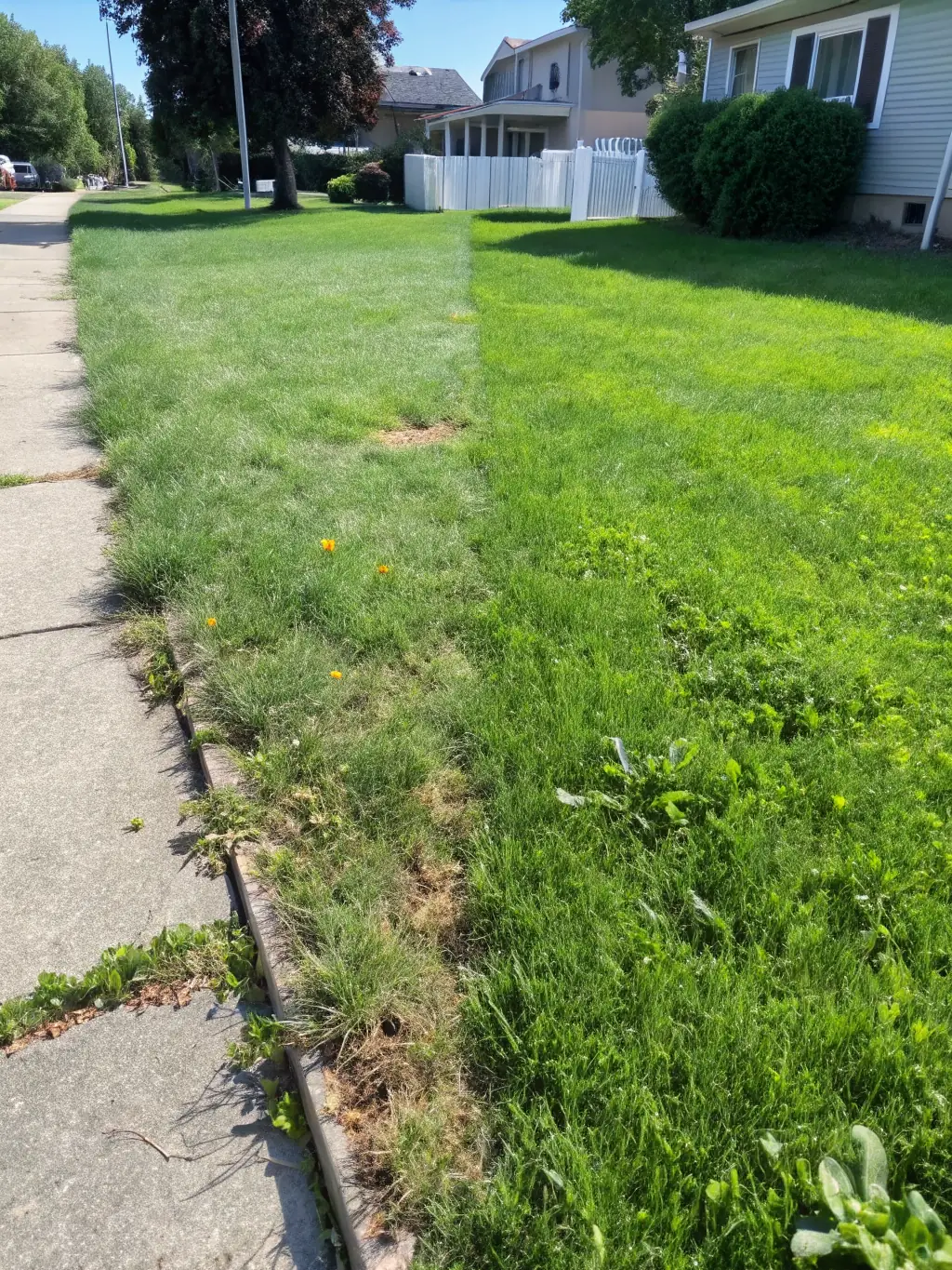 A before-and-after photo showing a lawn transformed by Rawson Works' maintenance services, highlighting the improvement in grass health and appearance.